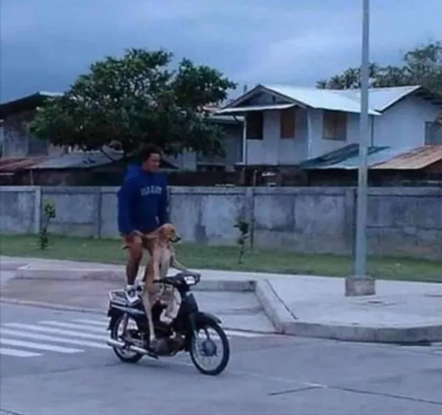 Picdump 599 - #40 