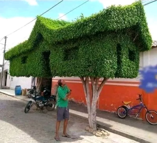 Picdump 599 - #50 