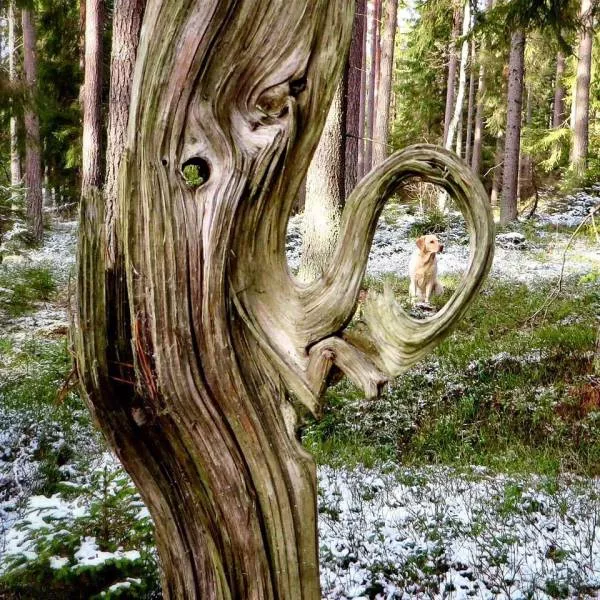 Picdump 599 - #6 