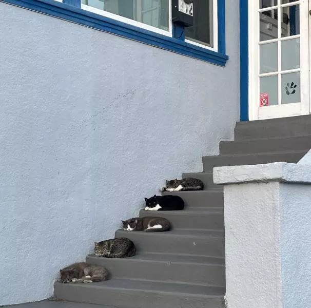 Picdump 600 - #23 