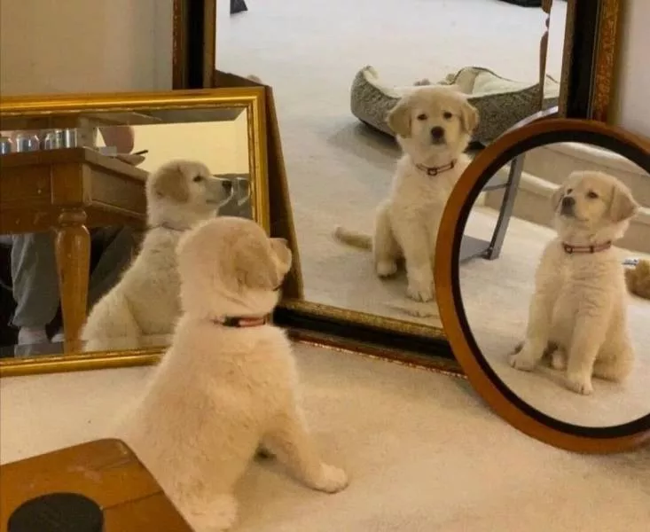Picdump 600 - #40 