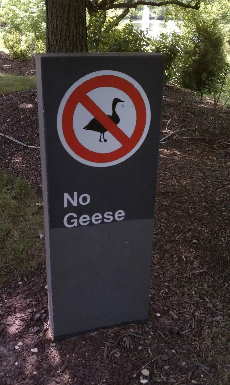 Picdump 600 - #43 