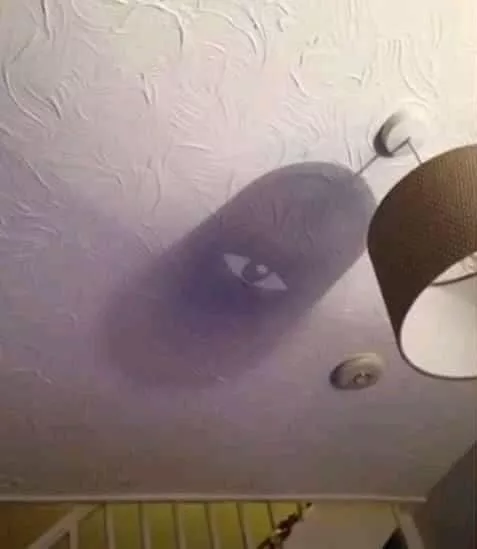 Picdump 600 - #51 