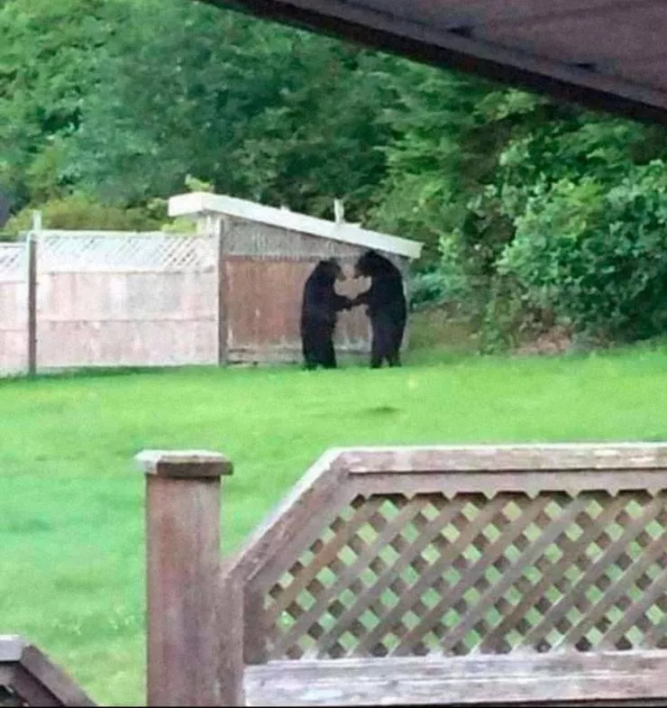 Picdump 601 - #30 