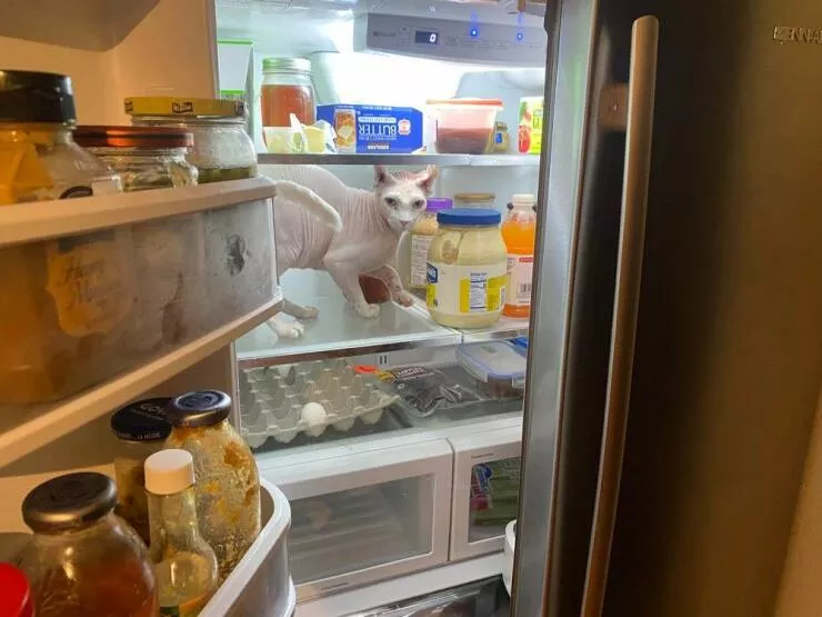 Picdump 602 - #27 
