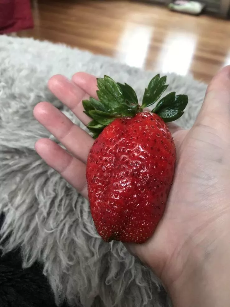 You dont see this every day - #11 