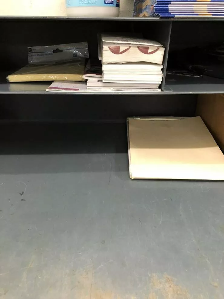 You dont see this every day - #9 