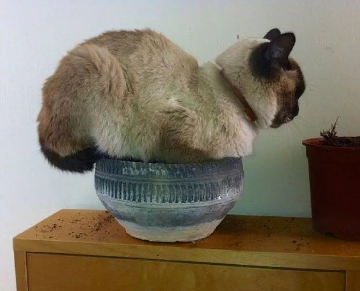 Picdump 603 - #36 