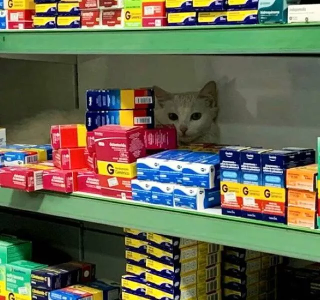 Picdump 603 - #54 