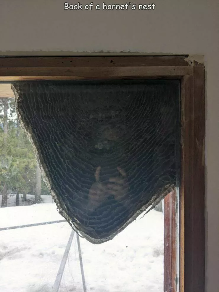 Picdump 603 - #7 