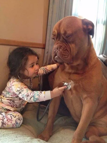 Photos que tout le monde partage en ligne - #10 
