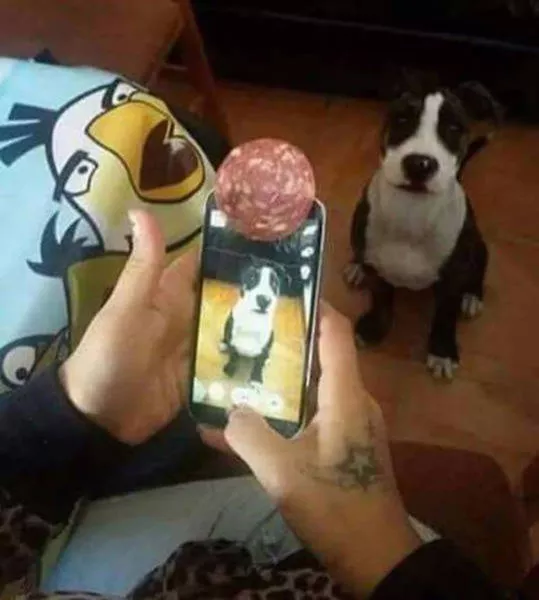 Pictures everyone shares online - #20 