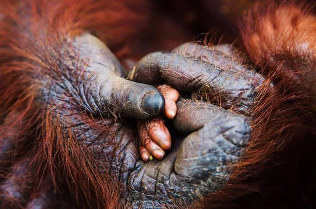 Photos que tout le monde partage en ligne - #22 