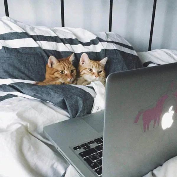 Photos que tout le monde partage en ligne - #27 