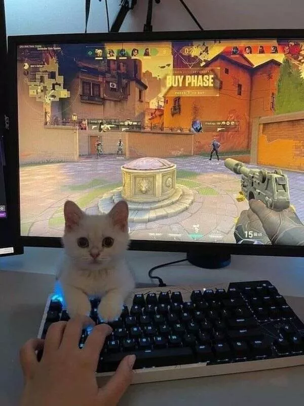 The gaming post - #14 
