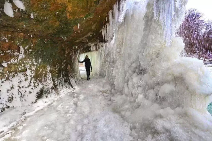 Le froid glacial et ses effets sur la nature - #10 