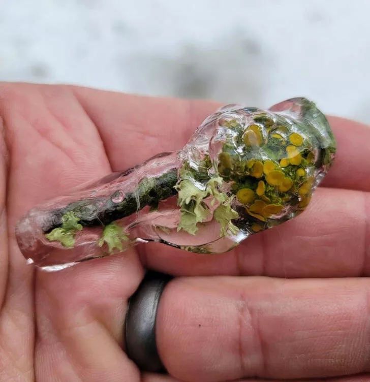 Le froid glacial et ses effets sur la nature - #12 