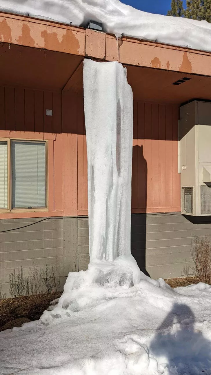 Freezing cold and its effects on nature - #13 