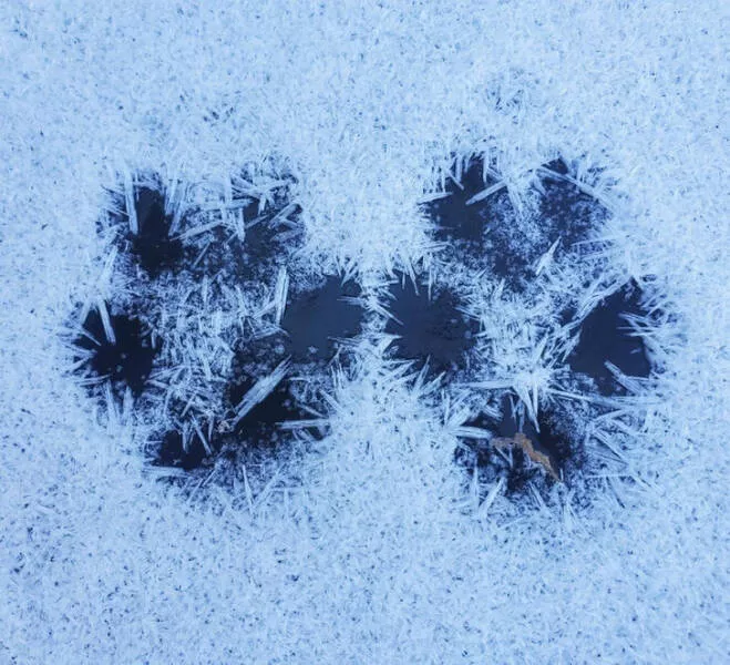 Freezing cold and its effects on nature - #14 