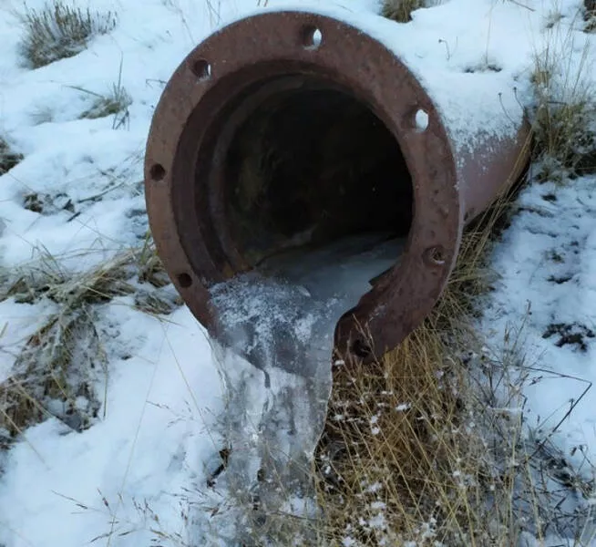 Le froid glacial et ses effets sur la nature - #16 