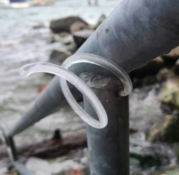 Freezing cold and its effects on nature - #2 