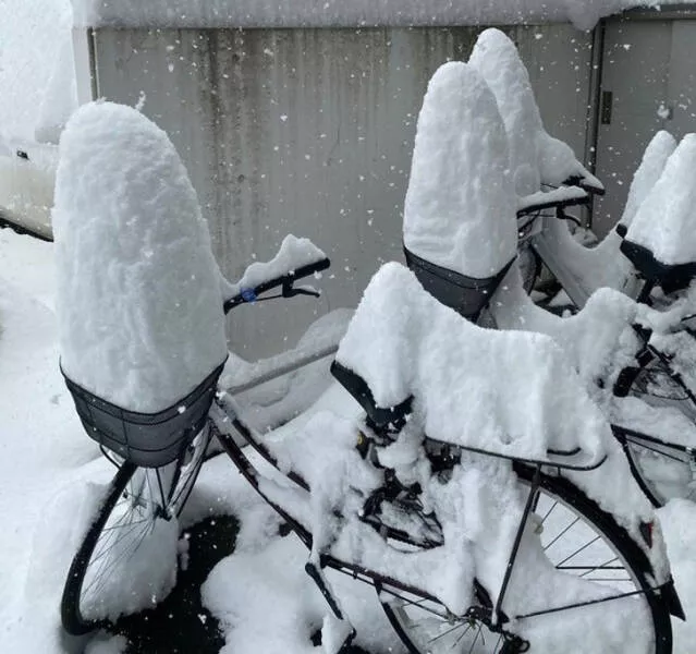 Freezing cold and its effects on nature - #5 