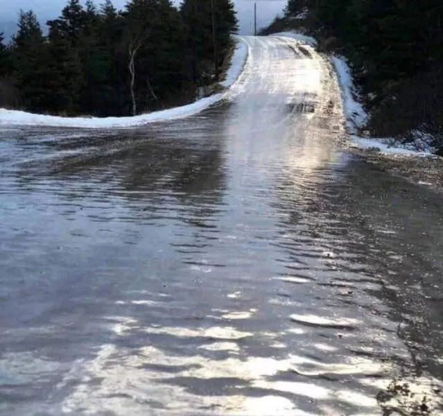 Le froid glacial et ses effets sur la nature - #8 