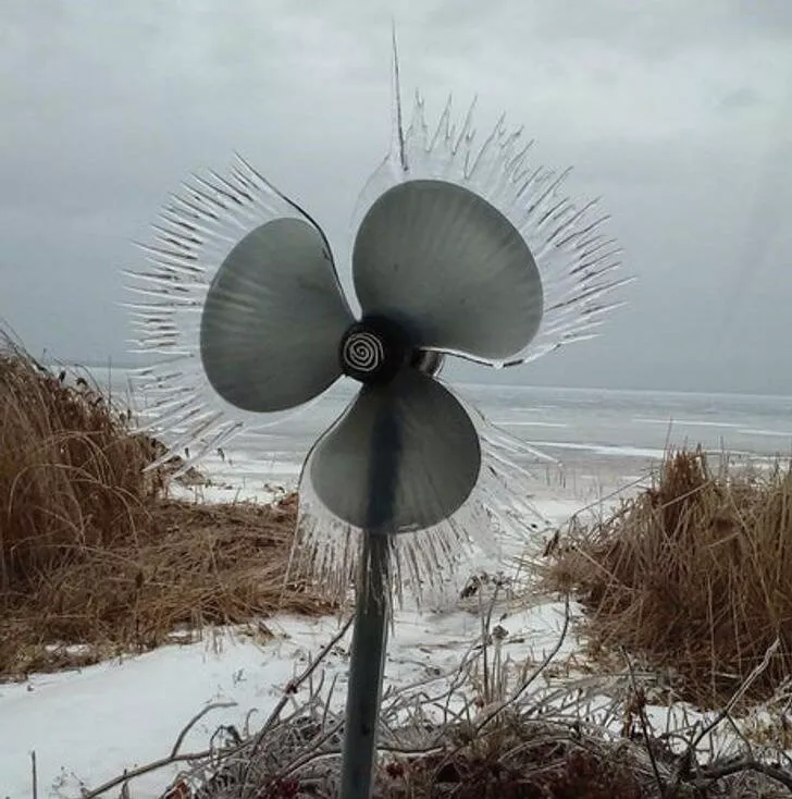Le froid glacial et ses effets sur la nature