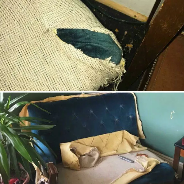 Incredible finds discovered by accident - #18 