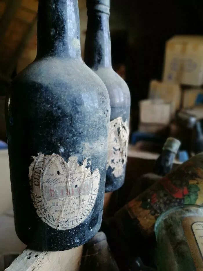 Incredible finds discovered by accident - #34 