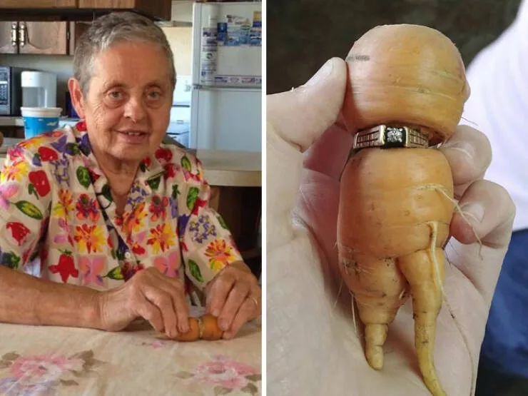 Incredible finds discovered by accident