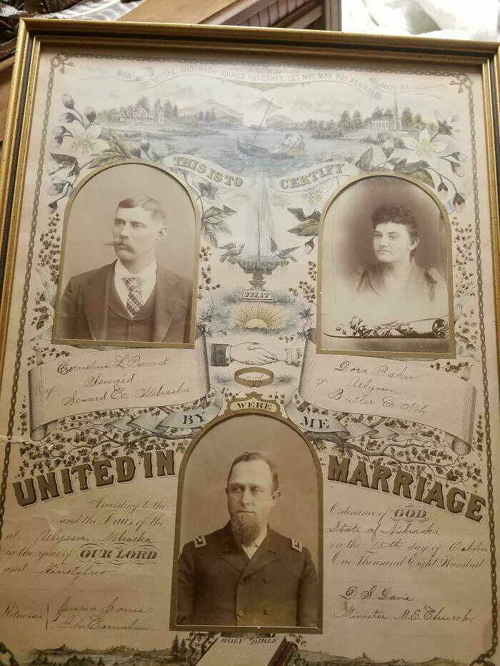Incredible finds discovered by accident - #44 