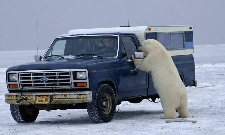 Picdump 604 - #10 