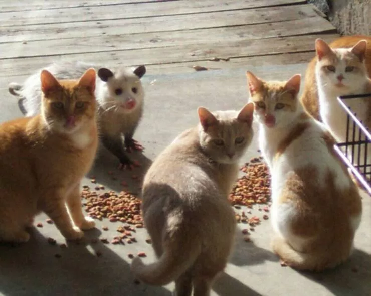 Picdump 604 - #11 