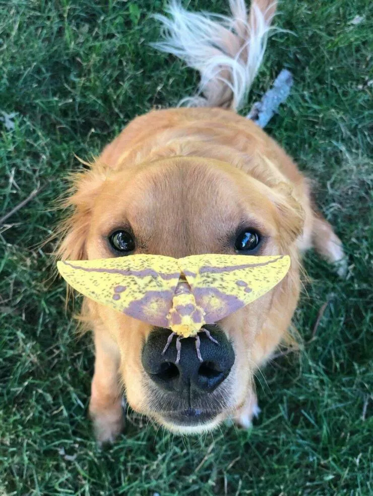 Picdump 604 - #53 
