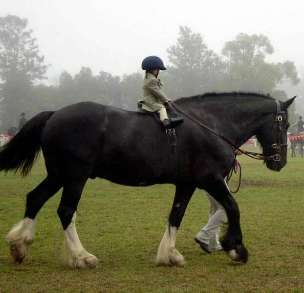 Picdump 604 - #55 