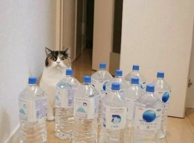 Picdump 605 - #11 