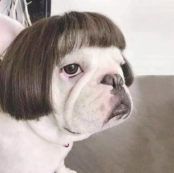 Picdump 605 - #17 