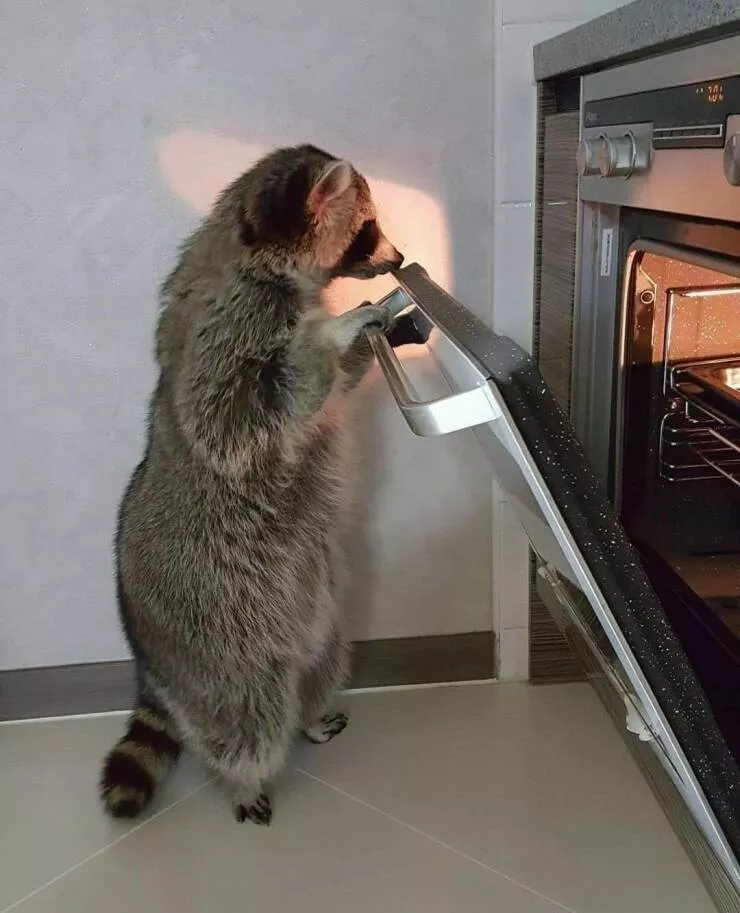 Picdump 605 - #21 