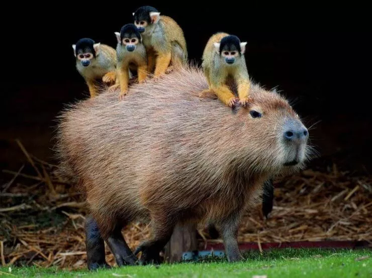 Picdump 605 - #54 