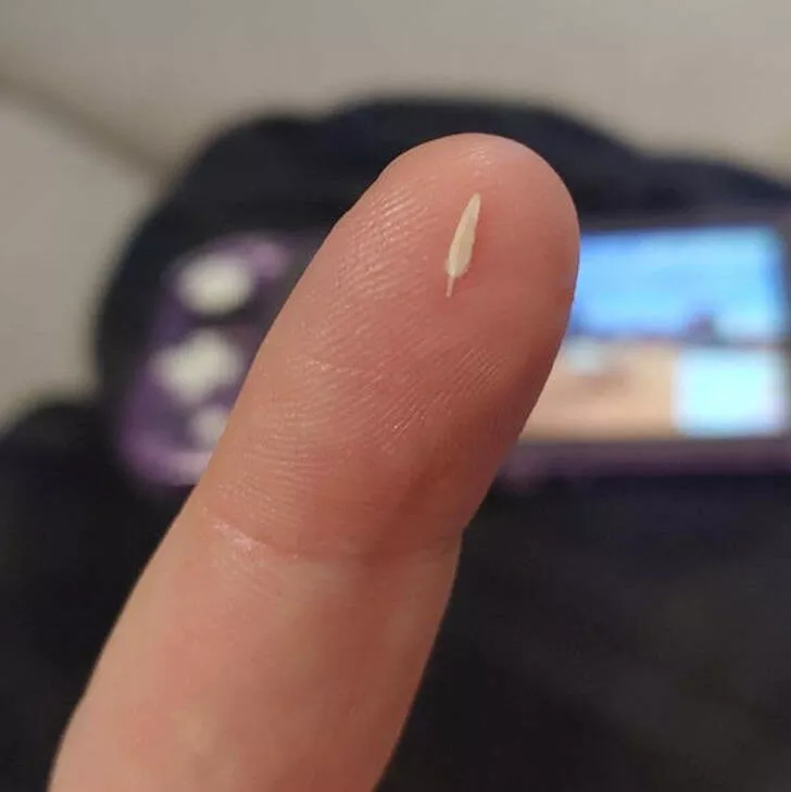 Fascinating things you didnt know - #13 Little feather