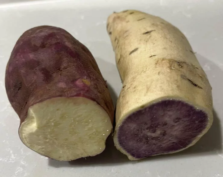 Des choses fascinantes que vous ne connaissiez pas - #40 Patate 
