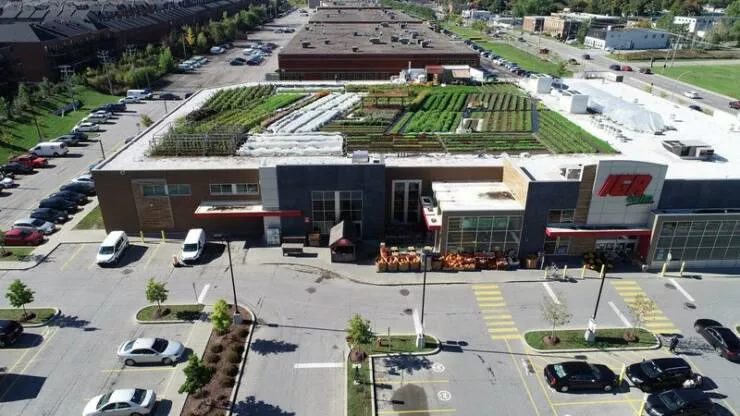 Fascinating things you didnt know - #7 Rooftop garden