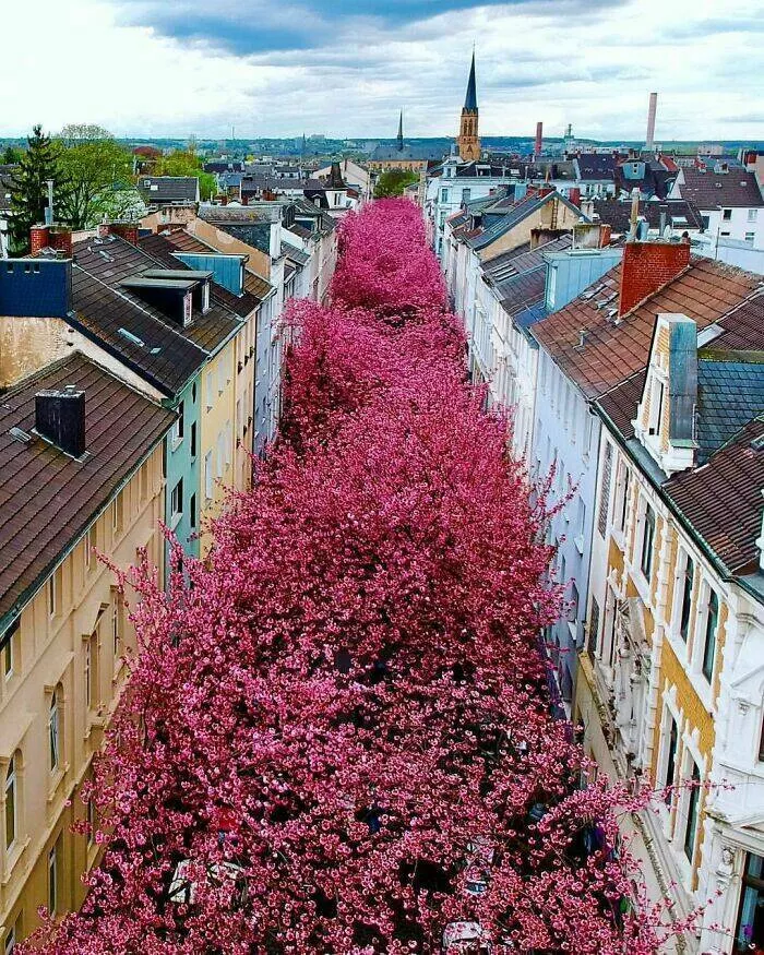 Tournee en allemagne - #28 