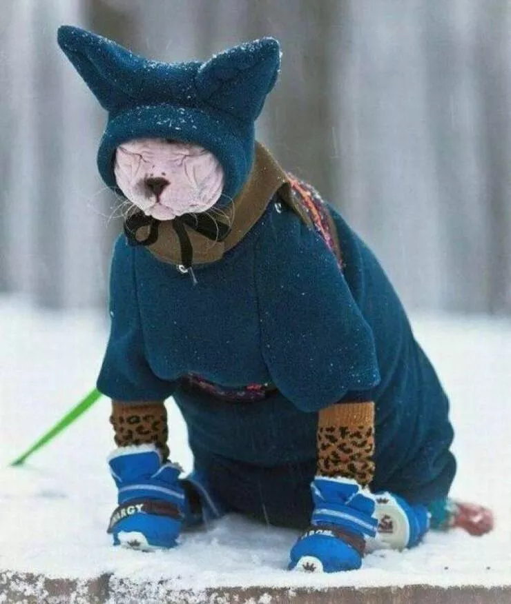 Picdump 606 - #12 