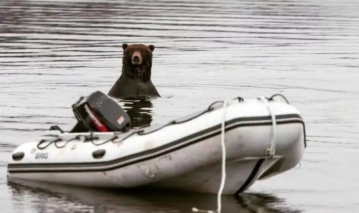 Picdump 606 - #25 