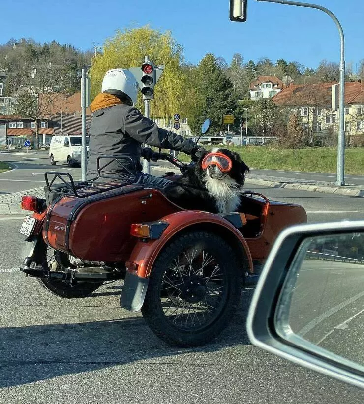 Picdump 606 - #55 