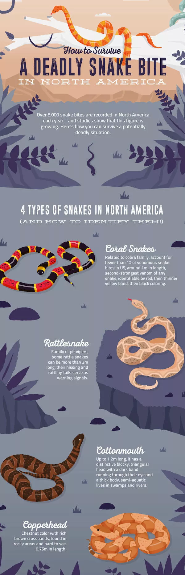 Some interesting graphics - #5 