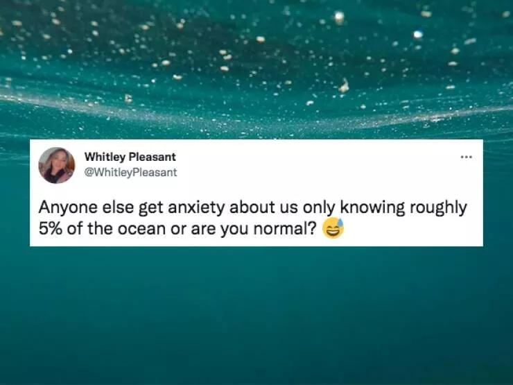 Questions are you normal  - #11 