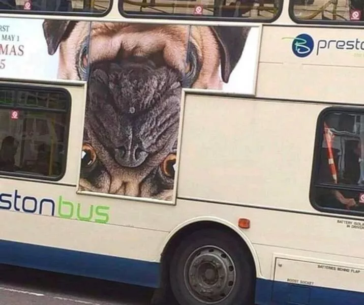 Picdump 607 - #1 